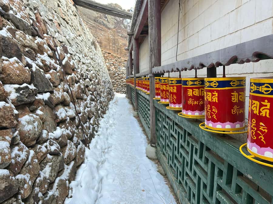 Winter tour: 2-Day Khustai & Terelj National Park Tour - FAQs