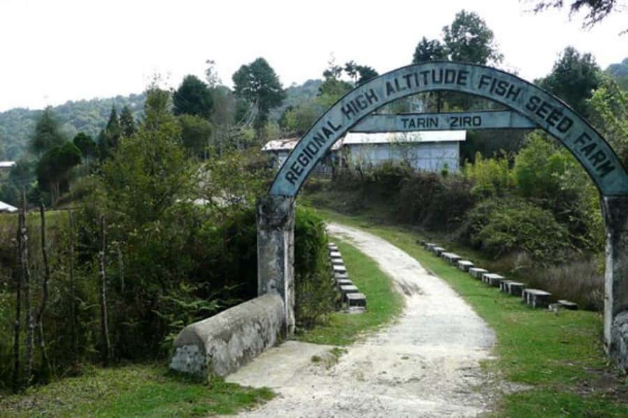 Ziro in a Day: Culture, Craft & Countryside Adventure Tour - Exploring Ziro’s Art and Souvenirs