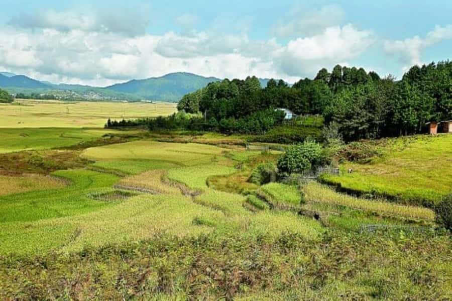 Ziro in a Day: Culture, Craft & Countryside Adventure Tour - Wrapping Up the Day
