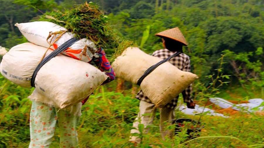 Borobudur Tour & Travel services from Yogyakarta - Frequently Asked Questions