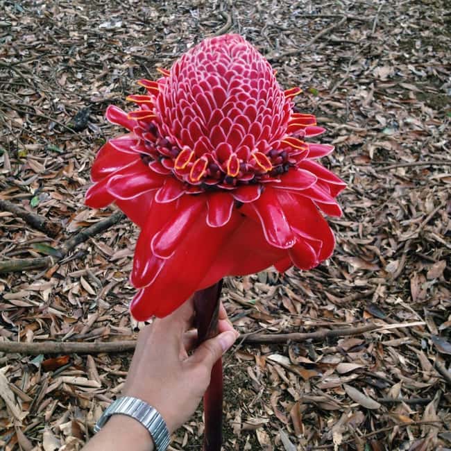 Private: Dominican Highlands & Taino Culture Day Trip - The Sum Up