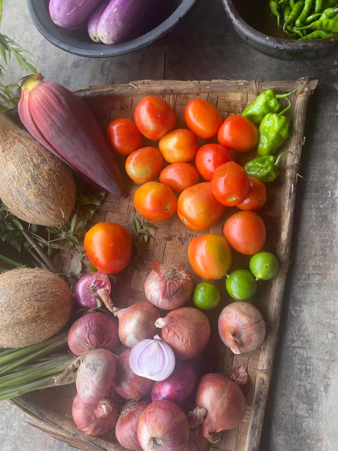 Talangama Wetlands Birdwatching & Local Village Experience - Exploring the Itinerary in Detail