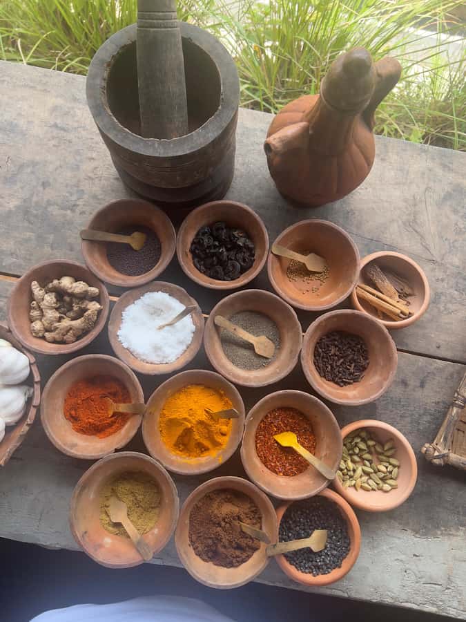 Talangama Wetlands Birdwatching & Local Village Experience - Why Choose This Tour?