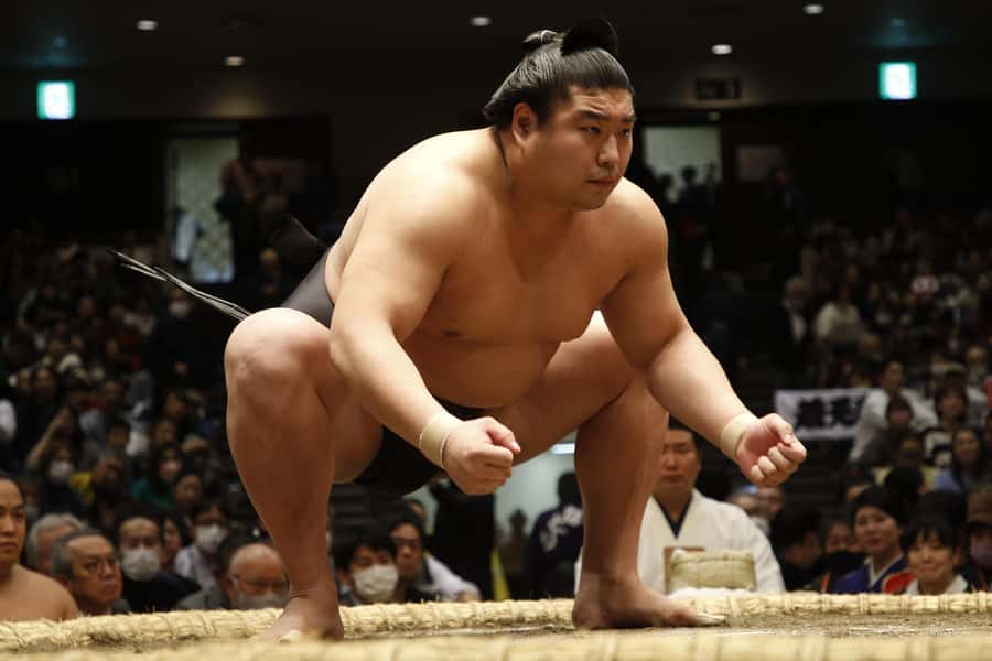 Kobe Sumo Tour from Osaka (Guide & Ticket Included) | Mar 31 - Good To Know