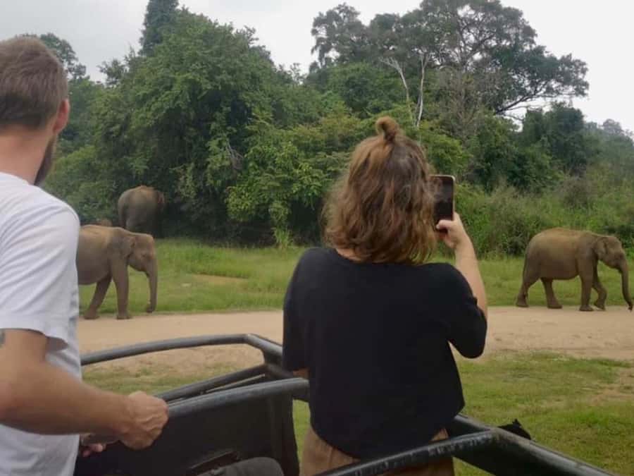 Private Minneriya Safari & Nature Experience from Sigiriya - Frequently Asked Questions