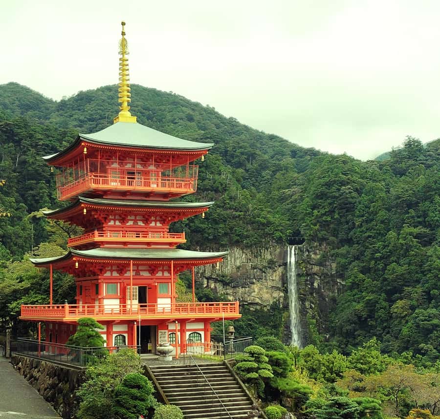 Wakayama: Kumano Nachi Taisha, Seiganto-ji & Waterfall Tour - Key Points