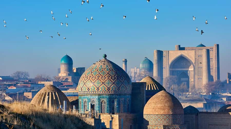 Samarkand: City Tour with Lunch and Dinner - Why This Tour Works Well