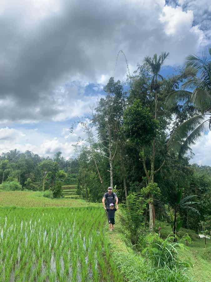 Tetebatu: Guided Village Cycling Tour with Lunch - An Introduction to the Tetebatu Cycling Tour