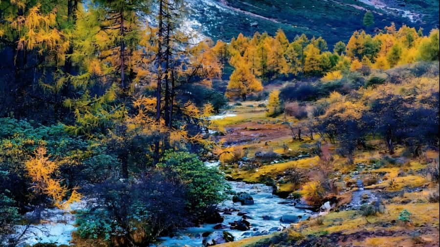 Chengdu: 5-Day Tour with Glacier& TibetanVillage& Jiuzhaigou - Detailed Review of the 5-Day Chengdu Tour