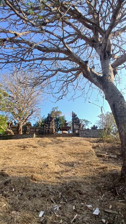 Yogyakarta : Honey moon by hire luxury vehicle - Key Points