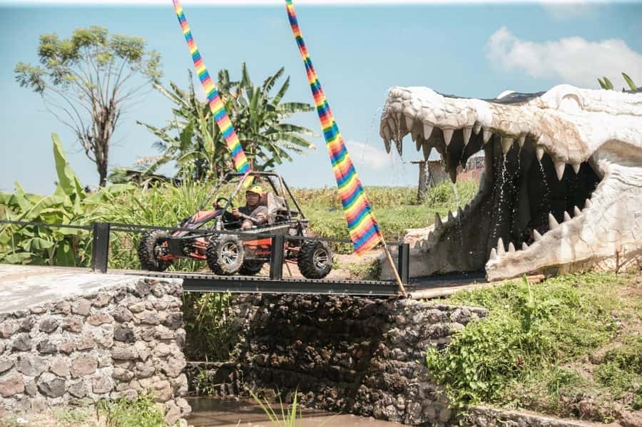 Bali: Buggy Adventure Ride and Waterfall Tour with Lunch - Final Thoughts: Who Is This Tour Best For?