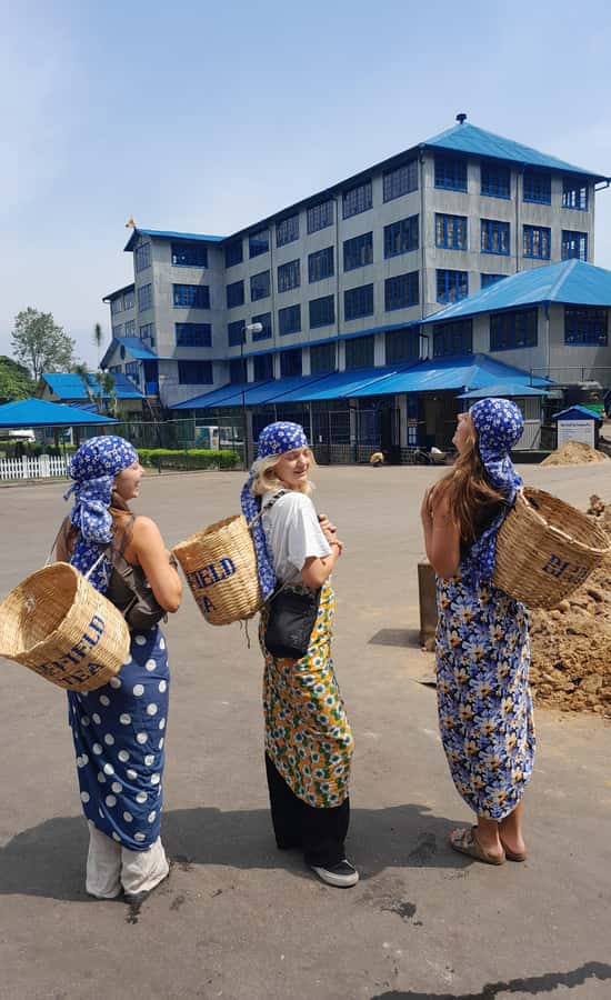 Sri Lanka: 15-Day Guided Tour with Transfers & Hotels - Good To Know