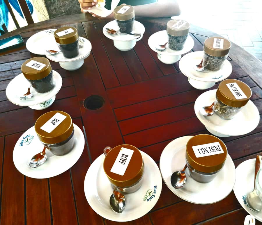 Sri Lanka: 15-Day Guided Tour with Transfers & Hotels - Transportation and Accommodation