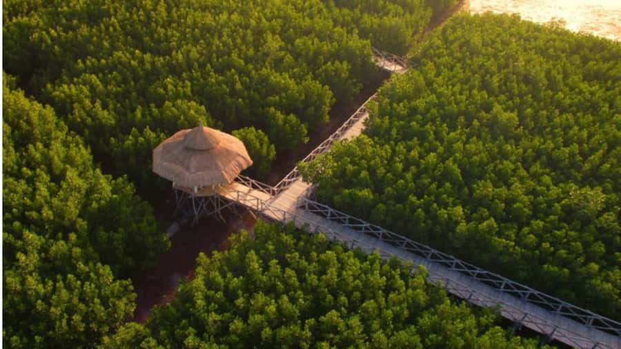 Bohol Sunset & Stories: A Bohol Evening Escape - The Sum Up  