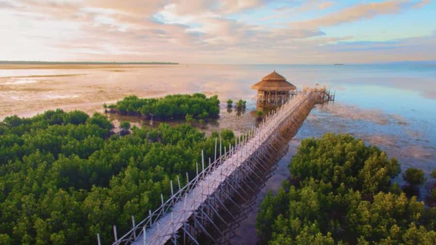 Bohol Sunset & Stories: A Bohol Evening Escape - Good To Know  