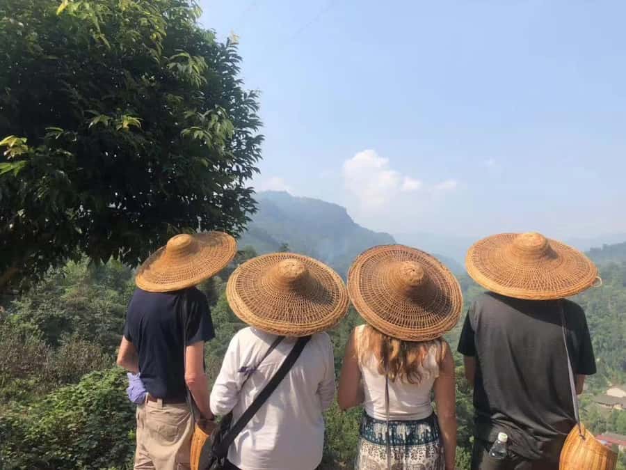 Leshan: Giant Buddha, Tea Village, and Old town Day Trip - What Makes This Tour Stand Out