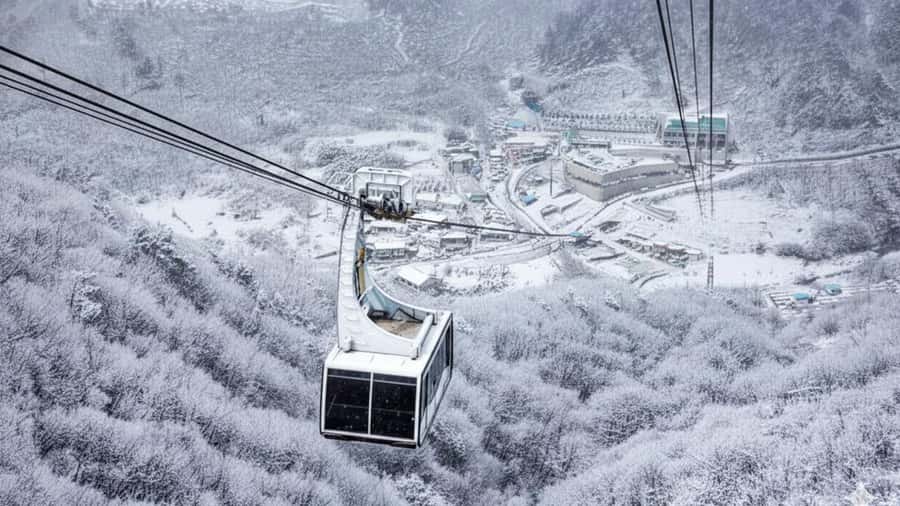 Busan: Discovery Tour With Snow & UNESCO Spot - Exploring the Itinerary in Detail