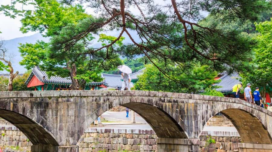 Busan: Discovery Tour With Snow & UNESCO Spot - What We Love About This Tour