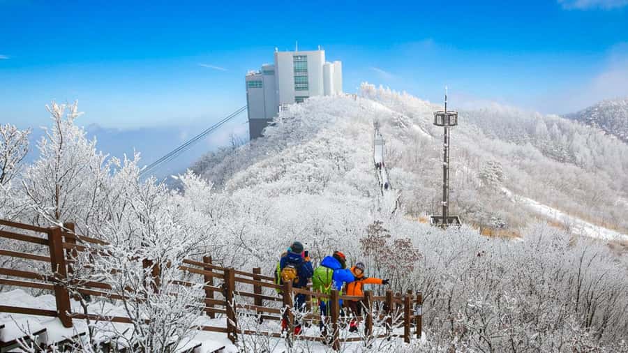 Busan: Discovery Tour With Snow & UNESCO Spot - How to Get the Most from Your Day