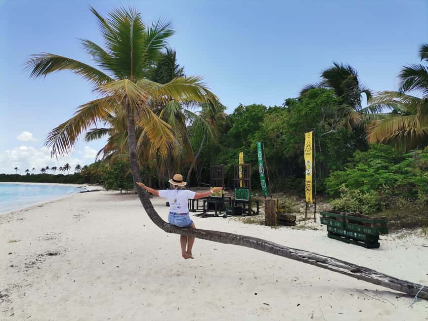 Saona Island Private Beach Club with Lunch - The Private Beach Club: A Slice of Caribbean Paradise