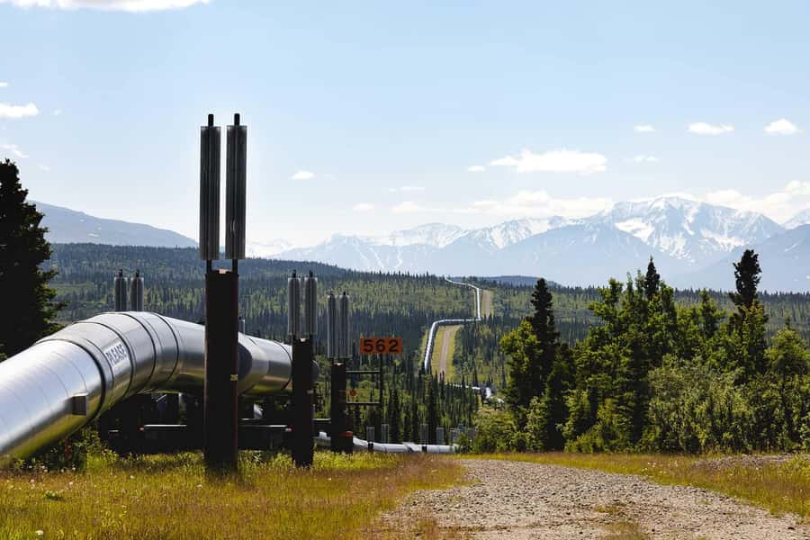 Fairbanks: Beauty of the North - What Makes This Tour Stand Out?