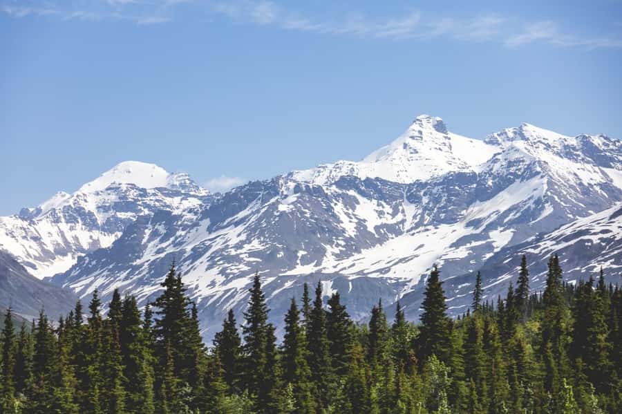 Fairbanks: Beauty of the North - Potential Drawbacks and Considerations