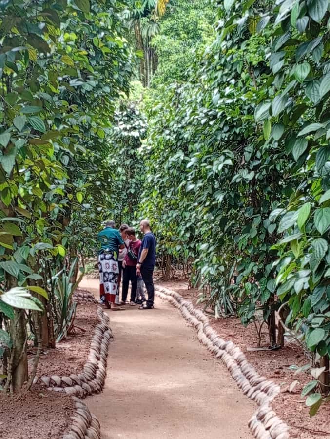 Kandy: Spice Garden & Artisan Workshops Tuk Tuk Tour - FAQ