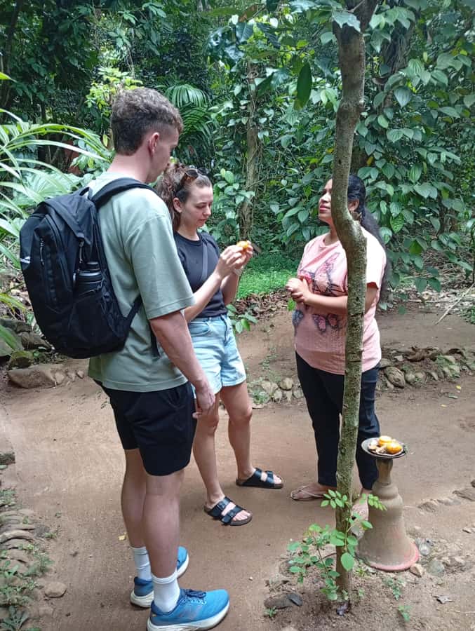 Kandy: Spice Garden & Artisan Workshops Tuk Tuk Tour - Final Verdict