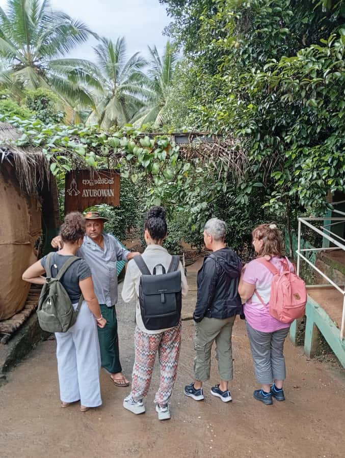 Kandy: Spice Garden & Artisan Workshops Tuk Tuk Tour - The Practical Side: Transport, Timing, and Value