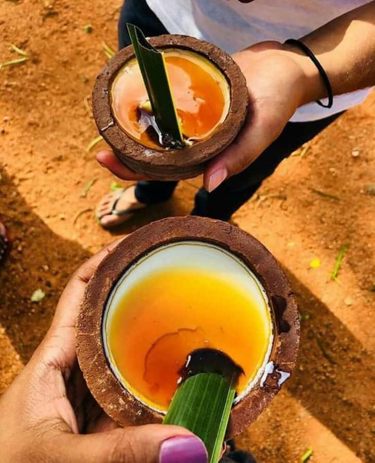 Sri Lanka 6 Days Private Tour with 3 star Hotels HB and Car - Who Will Love This Tour?