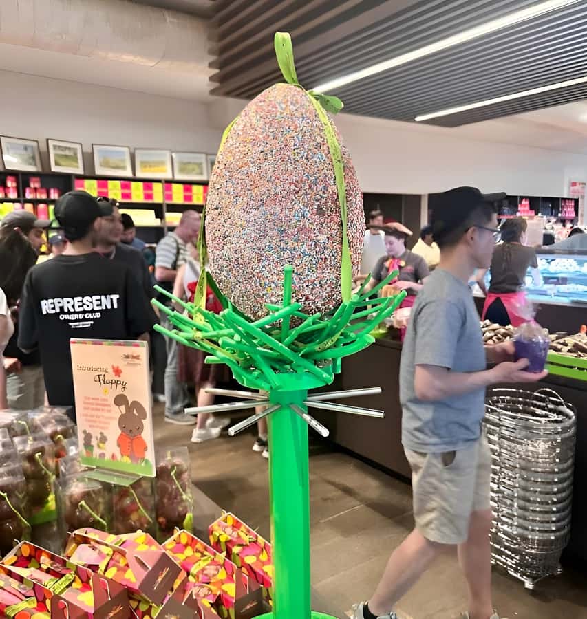 Yarra Valley | Redwoods, Wildlife, Wine, Chocolate - Who Is This Tour Best For?