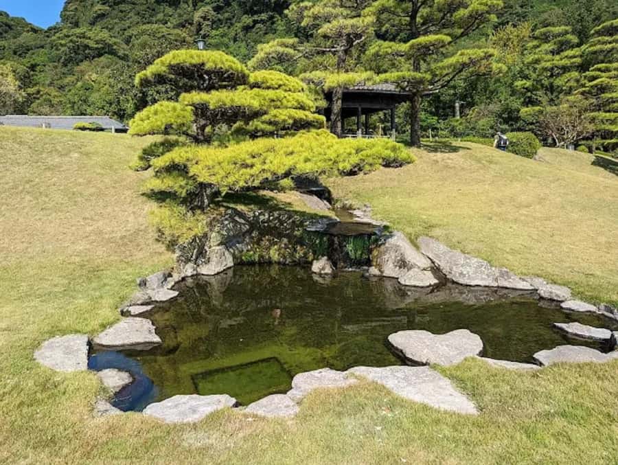 Sparks of Serenity: Discover Kagoshimas Soul Guided Tour - The Final Stand of Saigo Takamori & the Shiroyama Viewpoint