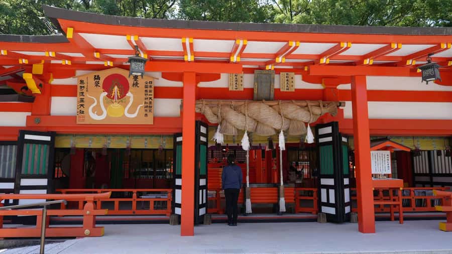 Kumano Kodo & Kumano Sanzan One-Day Tour from Osaka - Sacred Sites and Stamp Collection