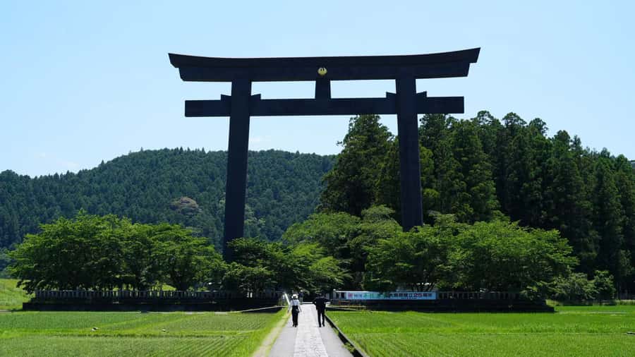 Kumano Kodo & Kumano Sanzan One-Day Tour from Osaka - Scenic Breaks and Relaxation