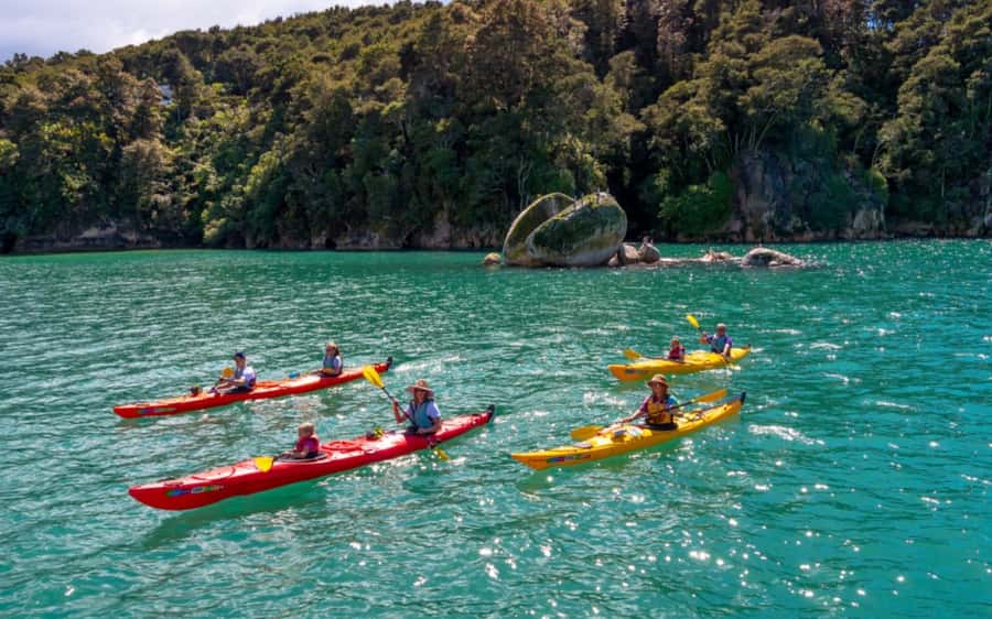 Nelson: Abel Tasman Kayaking & Great Taste Trail Bike Tour - An In-Depth Look at the Abel Tasman Kayaking & Great Taste Trail Bike Tour