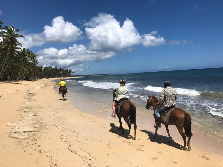 Punta Cana Beach Horseback Riding Tour - FAQ