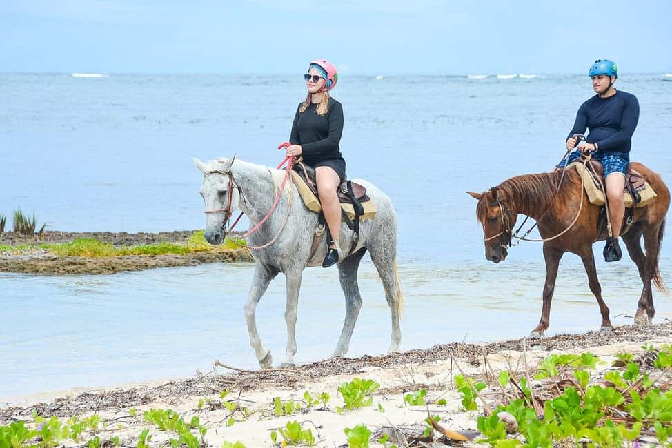 Punta Cana Beach Horseback Riding Tour - Key Points