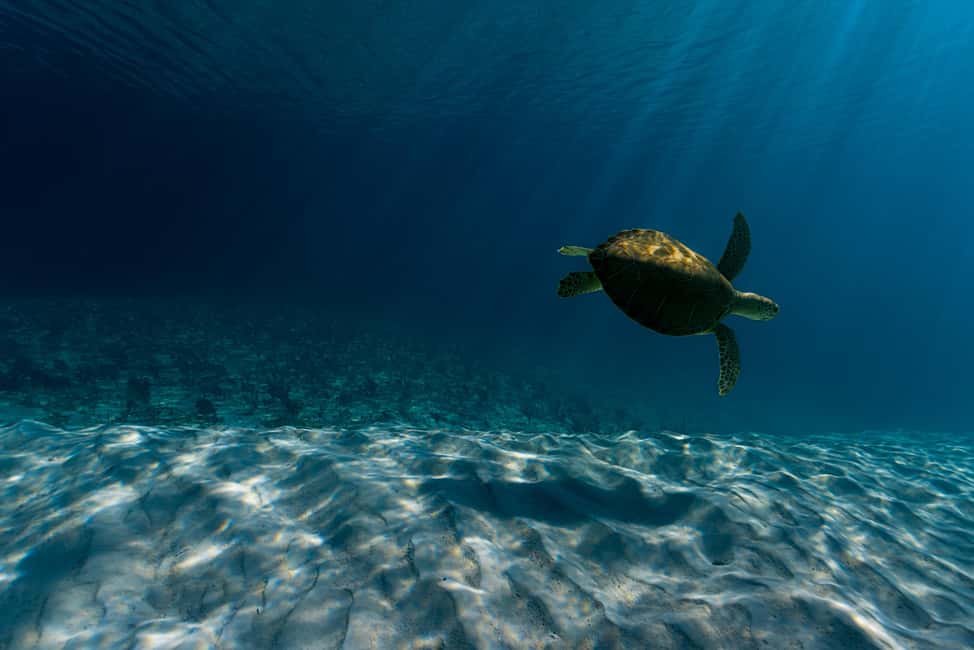 Spanish Wells, Harbour Island, Eleuthera: Private Charters - Key Points