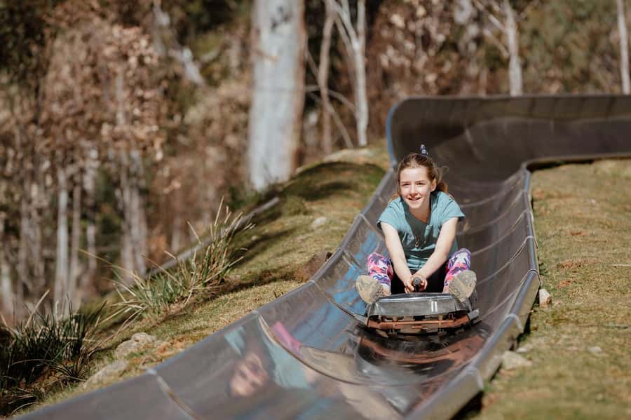Corin Forest: Alpine Slide Ticket - The Sum Up