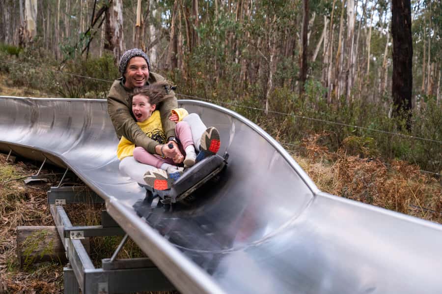 Corin Forest: Alpine Slide Ticket - Getting to Corin Forest