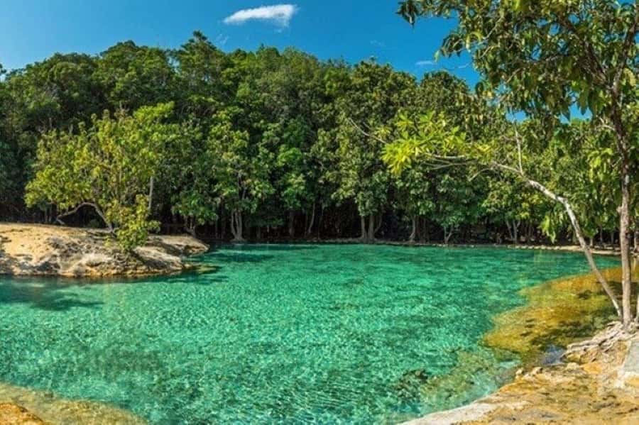 Krabi: Hot Springs, Emerald Pool and Tiger Cave Temple Tour - Discover Krabi’s Natural and Cultural Gems in One Day