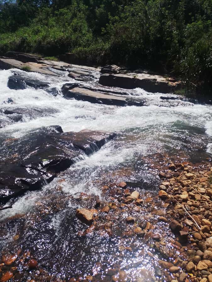 Kandy: Private City Tour by Hybrid Car with Driver - FAQ