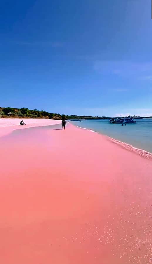 Lombok: Pink Beach & Exclusive Snorkeling Gili Petelu - An In-Depth Look at the Tour Experience