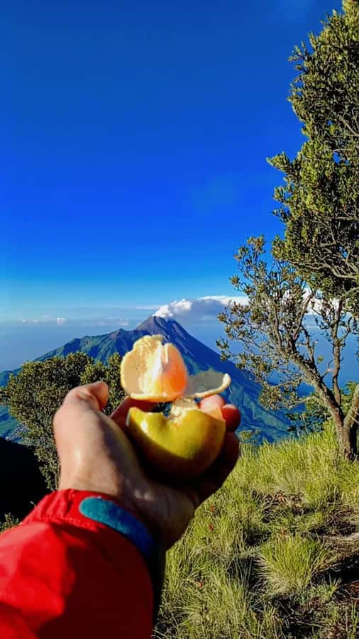 Yogyakarta: Mt Merbabu Guided Hike with Breakfast & Lunch - Why This Tour Offers Great Value