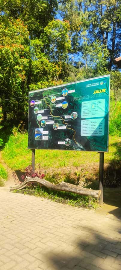 Yogyakarta: Mt Merbabu Guided Hike with Breakfast & Lunch - Who Should Consider This Tour