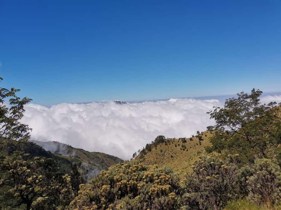 Yogyakarta: Mt Merbabu Guided Hike with Breakfast & Lunch - Key Points