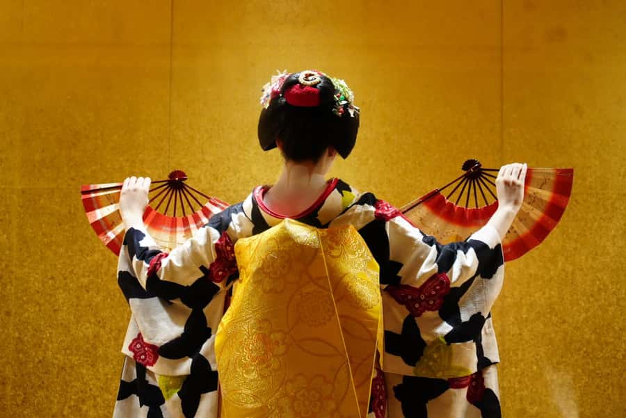 1 Hour Geisha Show in Gion Kyoto - What Makes This Tour Special?