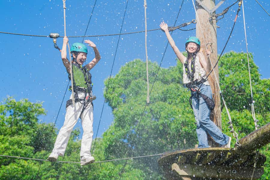 Kyoto: Crayon Shin-chan at Nijigen no Mori Entry & Transfer - An Exciting Day at Nijigen no Mori