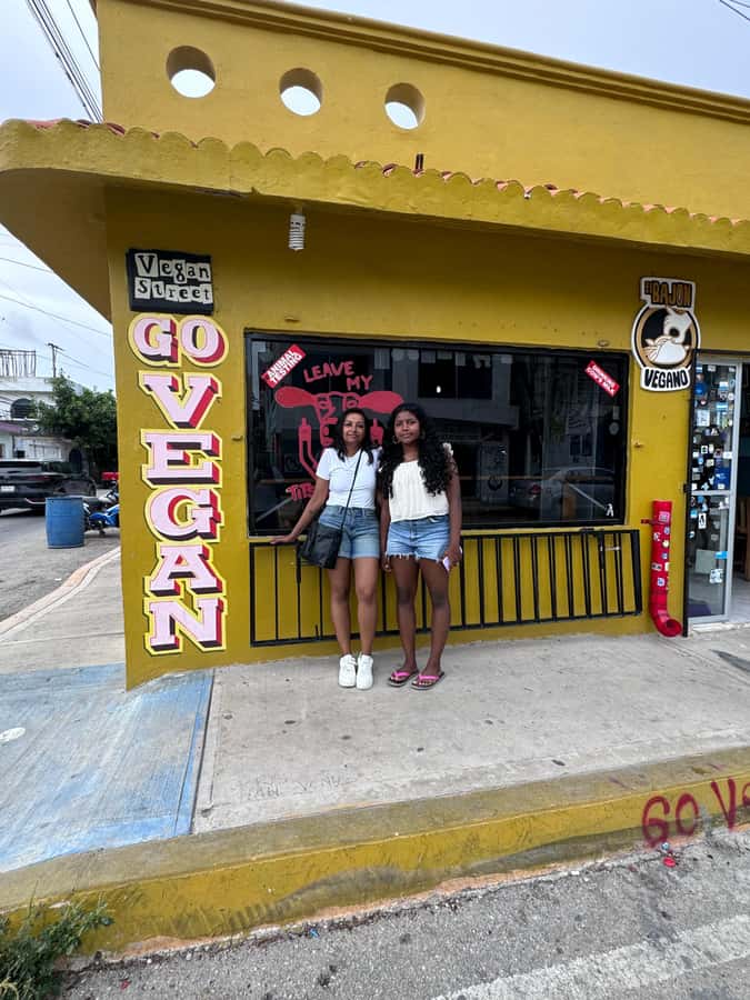 Tulum: Vegan Food Tour with Local Guide - The Value and Practicalities