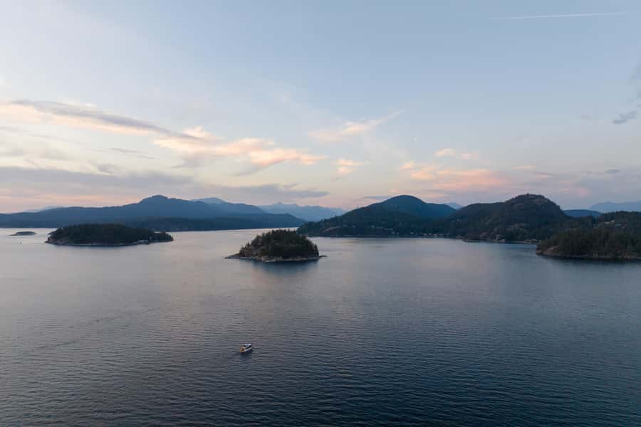 Sunshine Coast: Vintage Boat Tour with Wildlife Viewing - A Detailed Look at the Vintage Sunshine Coast Experience